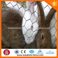 hexagonal iron wire mesh